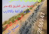 أرض زراعيه